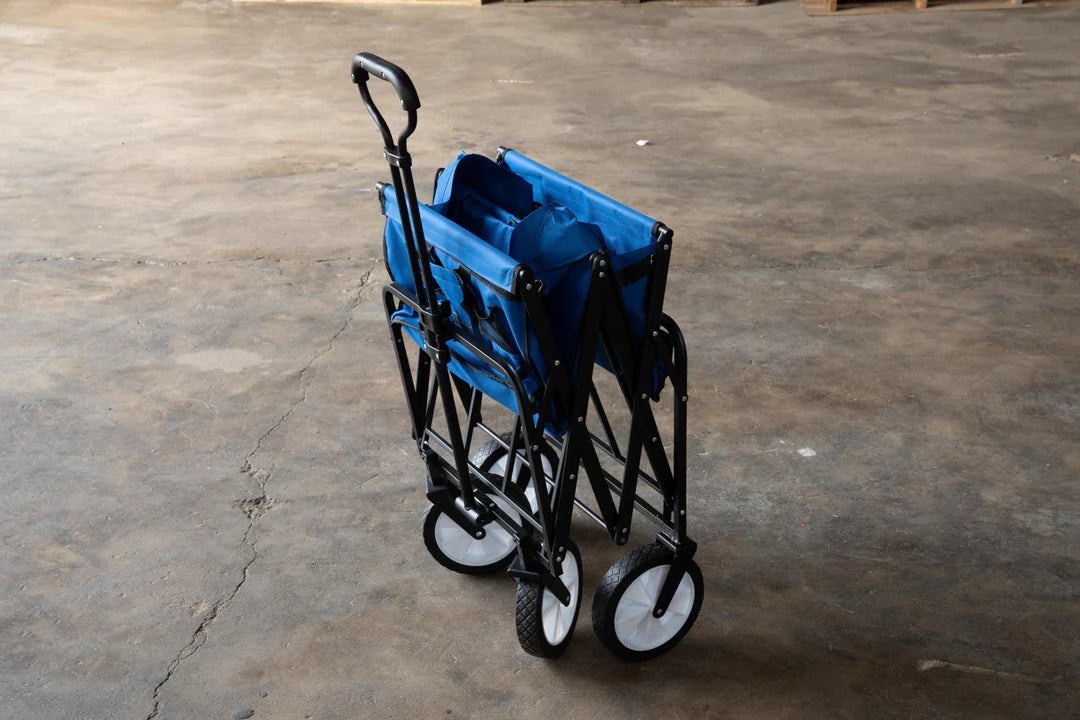 Folding Carry/Shopping Cart Trolley 100kg Capacity